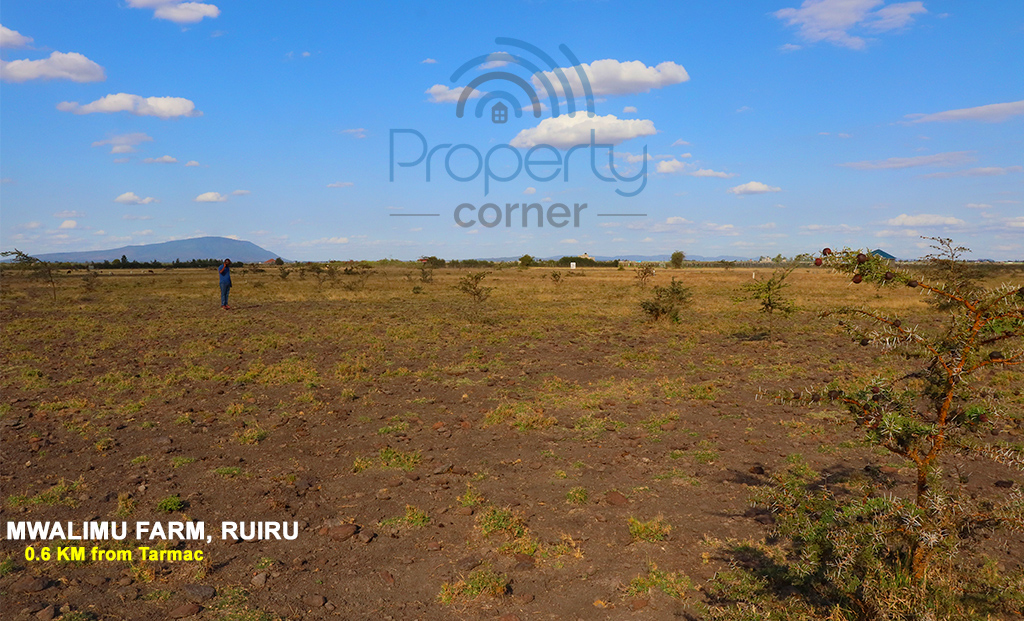 Mwalimu Farm Plots in Ruiru East Kamakis