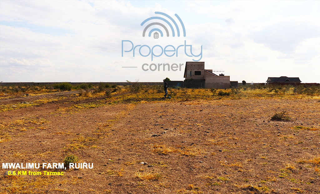 Mwalimu Farm Plots in Ruiru East Kamakis